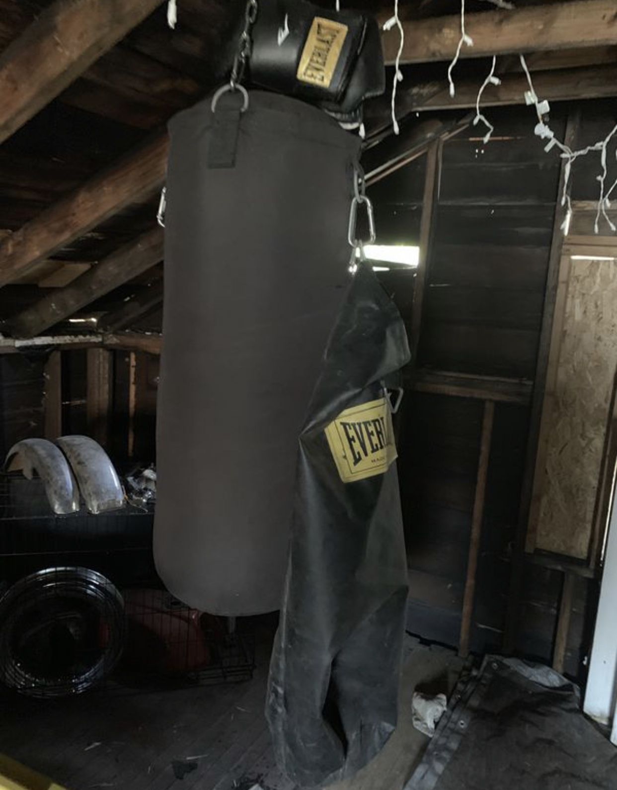 Everlast Punching Bag