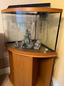Bow Front Fish Tank Aquarium with Stand