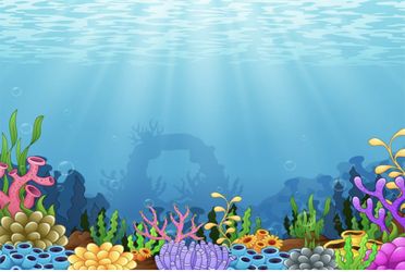 Under The Sea Backdrop