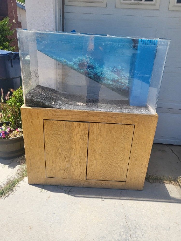 40 Aycrlic Gallon Fish Tank Custom