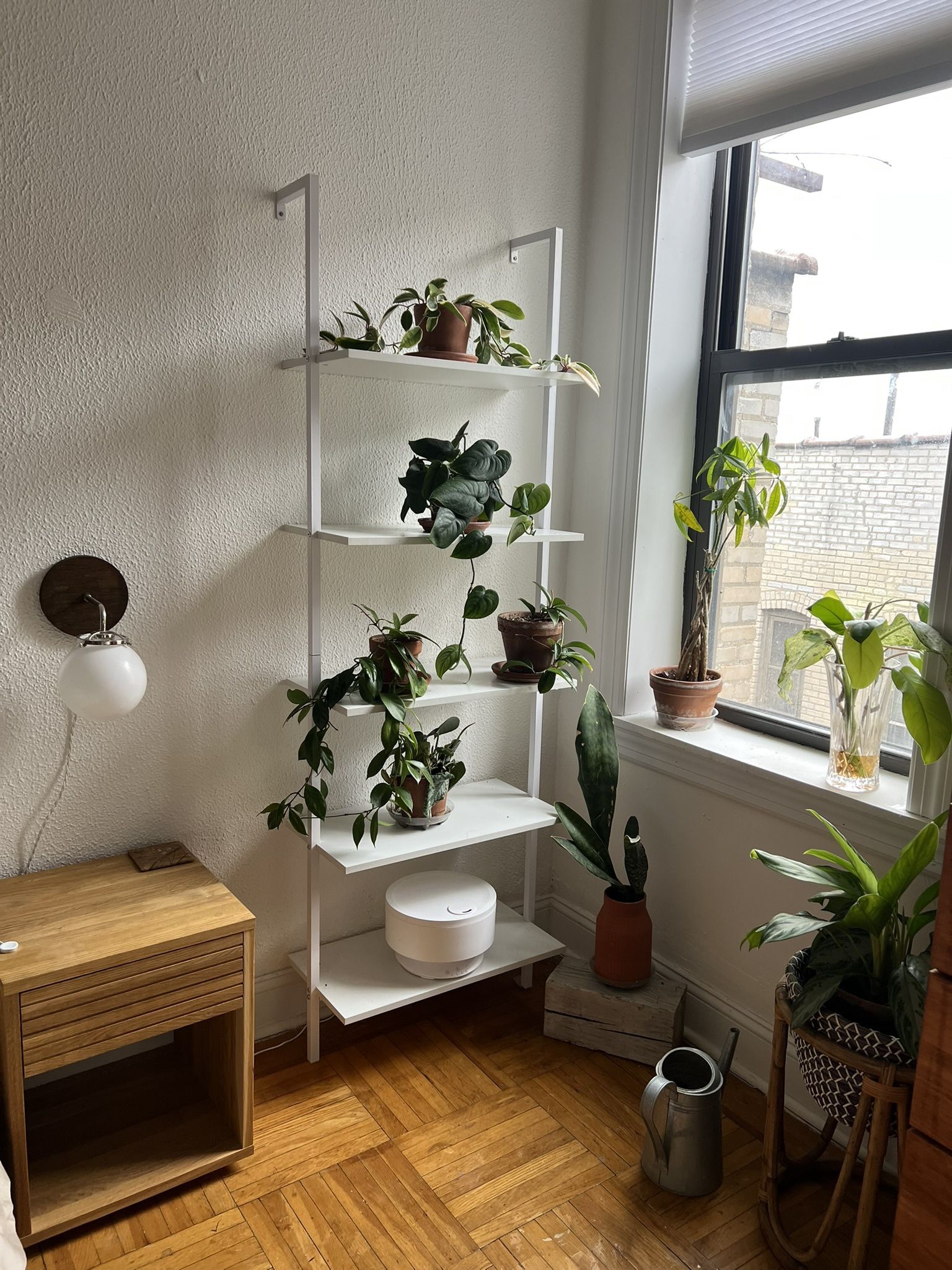 Modern minimalist 5-shelf ladder wall bookshelf