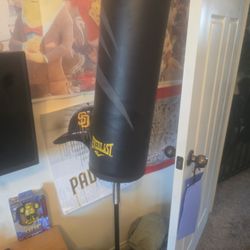 Kids Punching bag