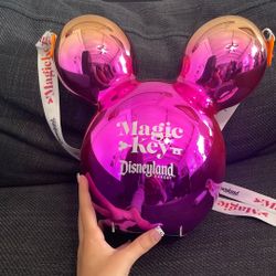 Disneyland Bag