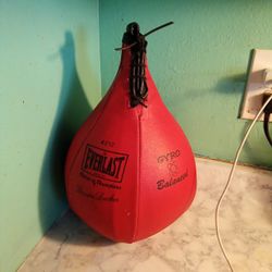 Vintage Everlast Gryo Balanced Boxng Speed Bag 4212