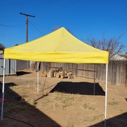 EZ Up 10'x10' Commercial Canopy with Leg Weights
