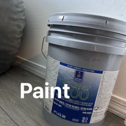 Paint Accesible Beige Eggshell & Agradable Gray& Extra white Flat