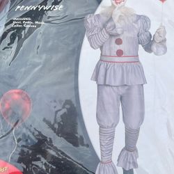 Adult Teen Costume