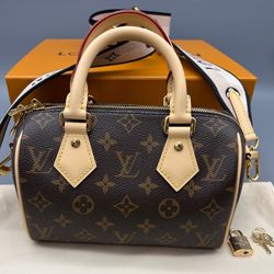 Louis Vuitton Classic Speedy 20 Shoulder Bag