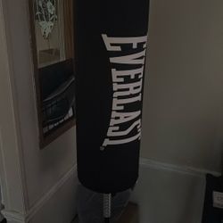 Punching Bag And Gloves Used Once $75