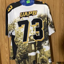 UAPB Football Faux Jersey Xl