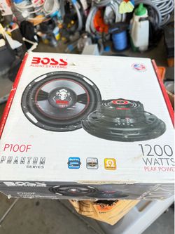 Boss P100F 10in Subwoofer