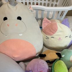 Squishmallows