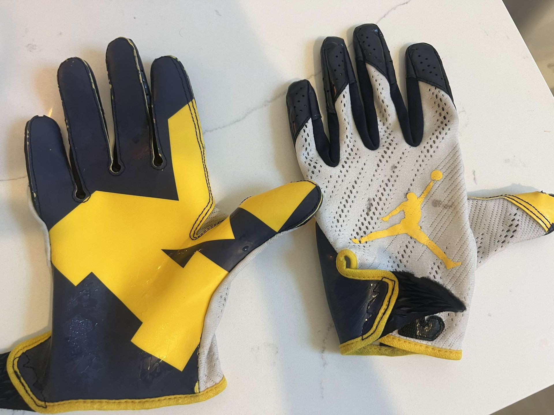 Large michigan gloves 
