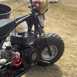 Mini bike