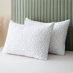 BPC Premium Rayon Derived from Bamboo Firm Pillows King Size Set of 2