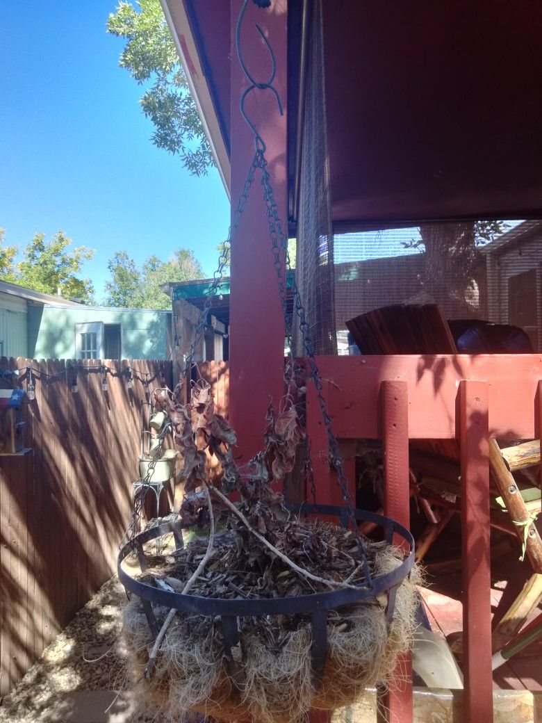 Hanging Flower Basket