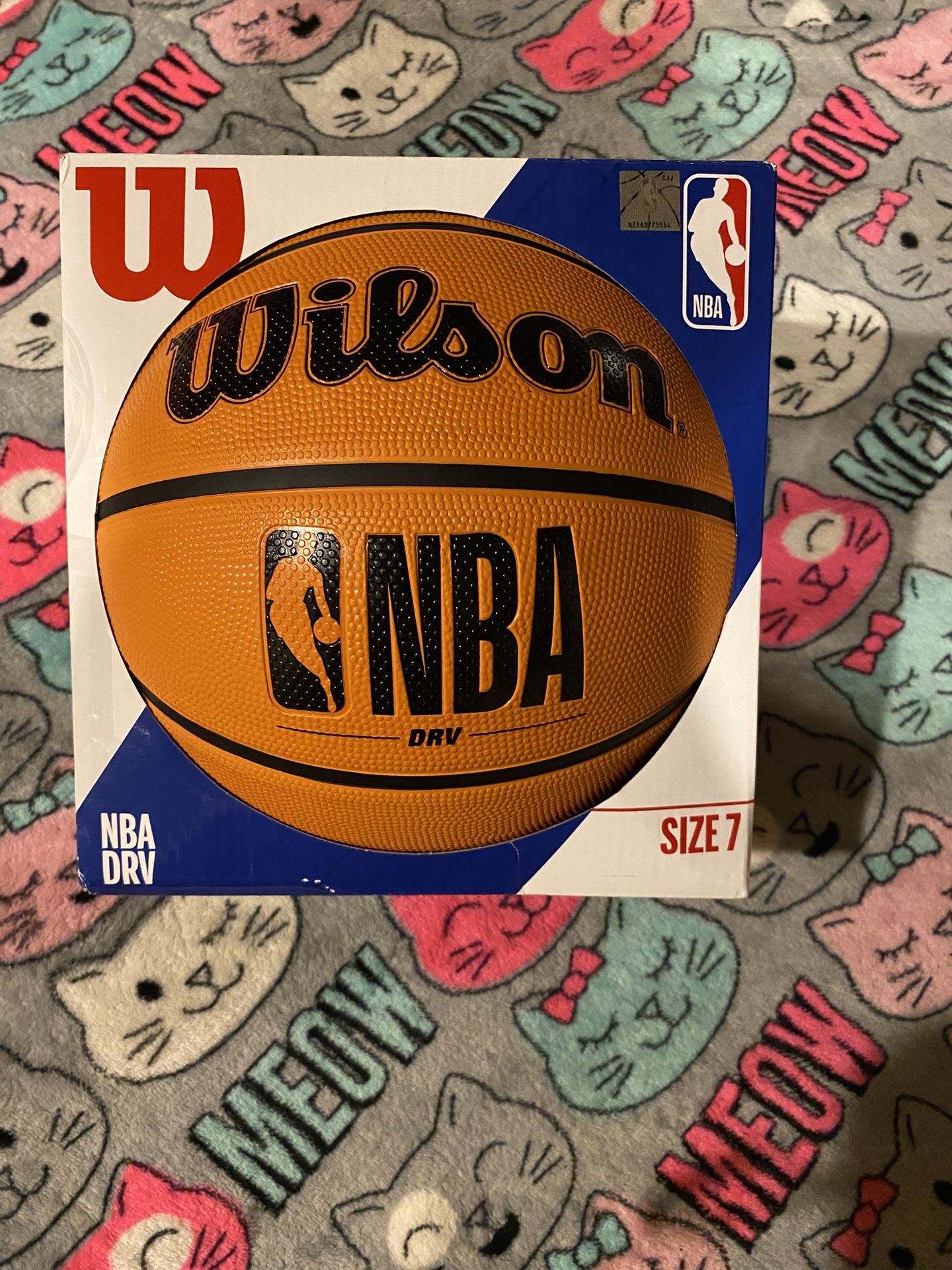 NBA DRV Outdoor Basketball