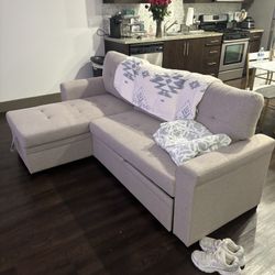 Living Room Couch 