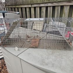 Price Is Firm Large Raccoon Trap