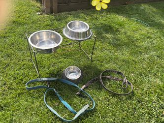 Raised Dog Feeder Stand with Stainless Steel Bowls and Leashes