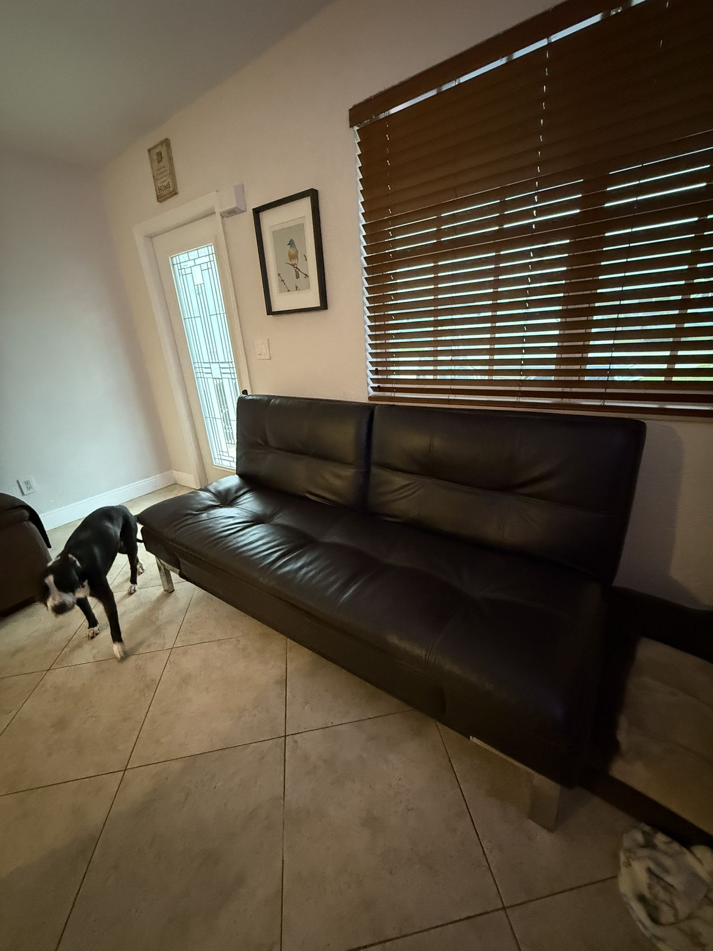 Real Leather Futon