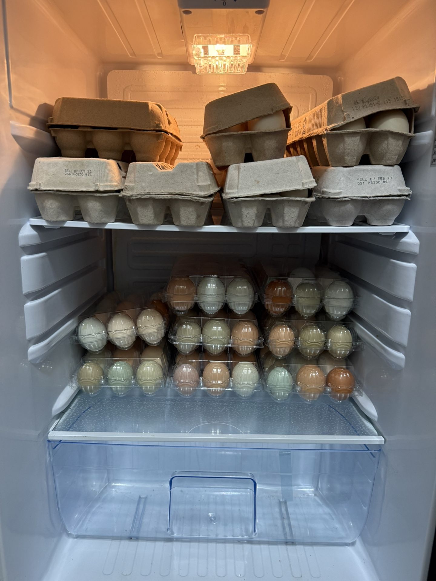 Eggs