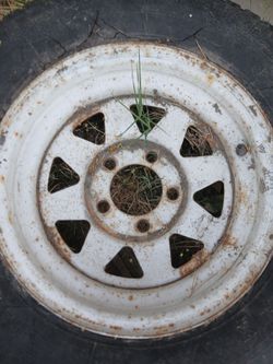 Trailer rim tires