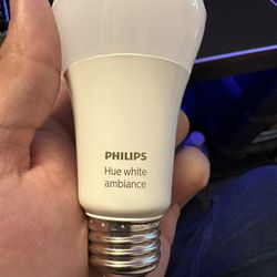 Philips Hue White Ambience