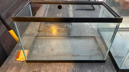 10 gallon Fish Tank terrarium aquarium