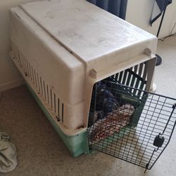 Dog Kennel 
