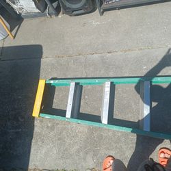 Louisville six foot ladder