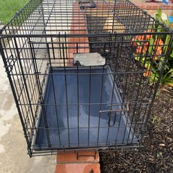 Dog Crate