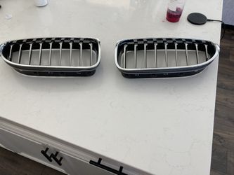 6 Series BMW Grille