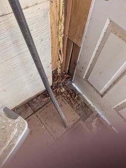 5-Ft steel bar