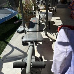 Weight Bench With Weights Included