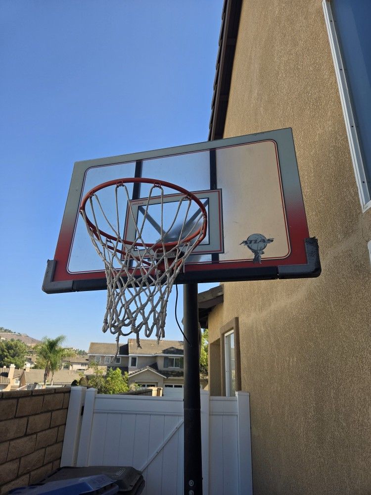 Basketball - Portable Hoop