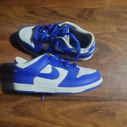 NIKE KIDS DUNKS