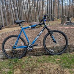 26" Nishiki Bicycle