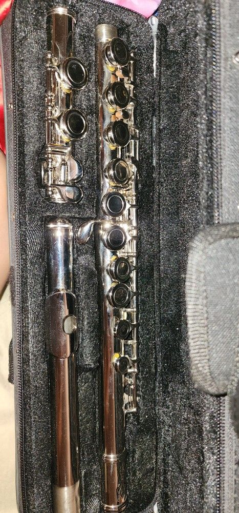 Beginner Student Flute