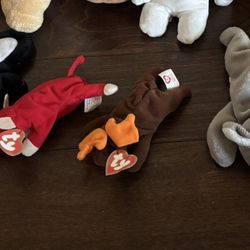 Stuff Animals