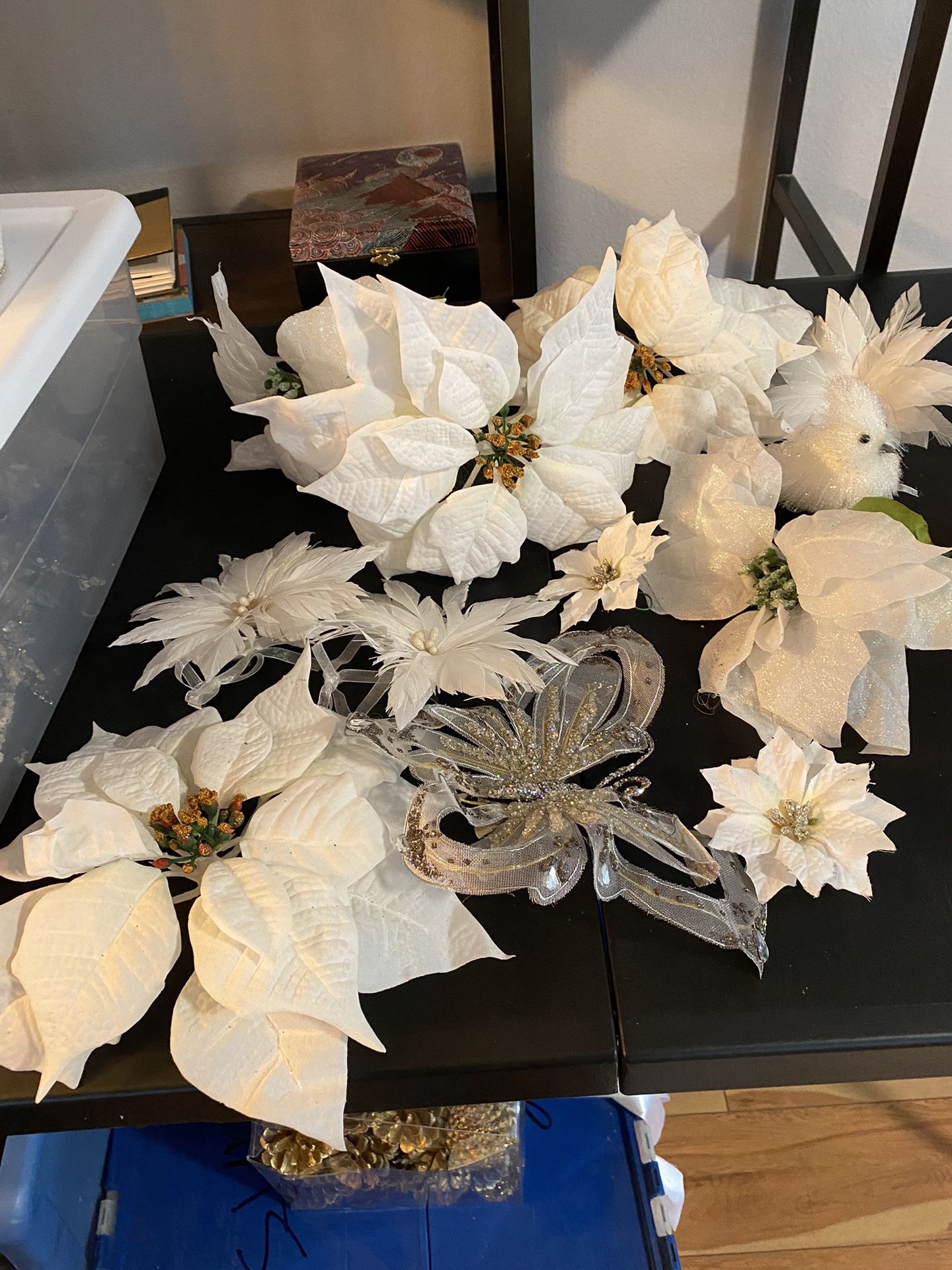 White Poinsetta Flowers In Various Sizes