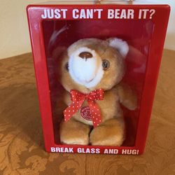 Vintage 1985 Break Glass and Hug Teddy