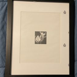 Photo Frame 11x14  Made With Plexi Glass