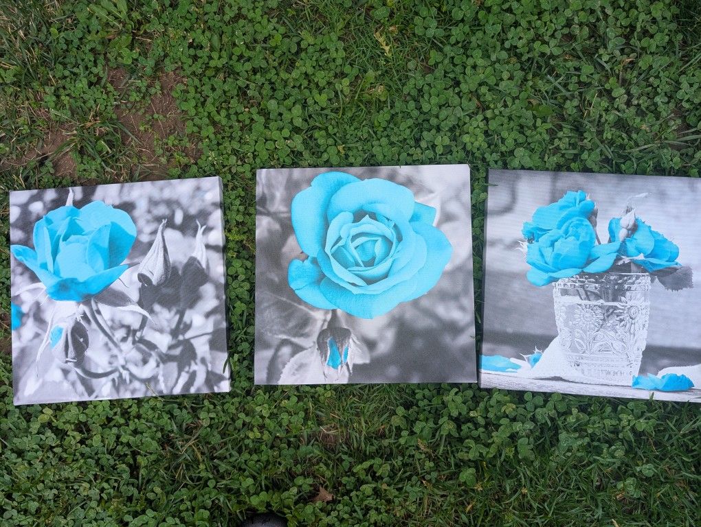 Canvas Wall Art For Your Home