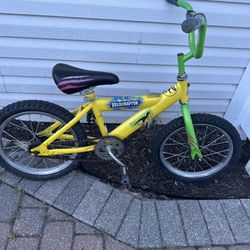 16 “ Boys Bike 