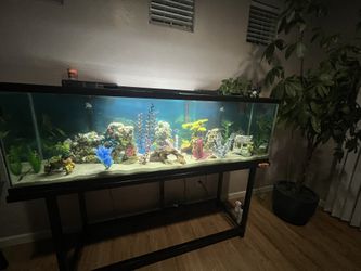 Fish tank