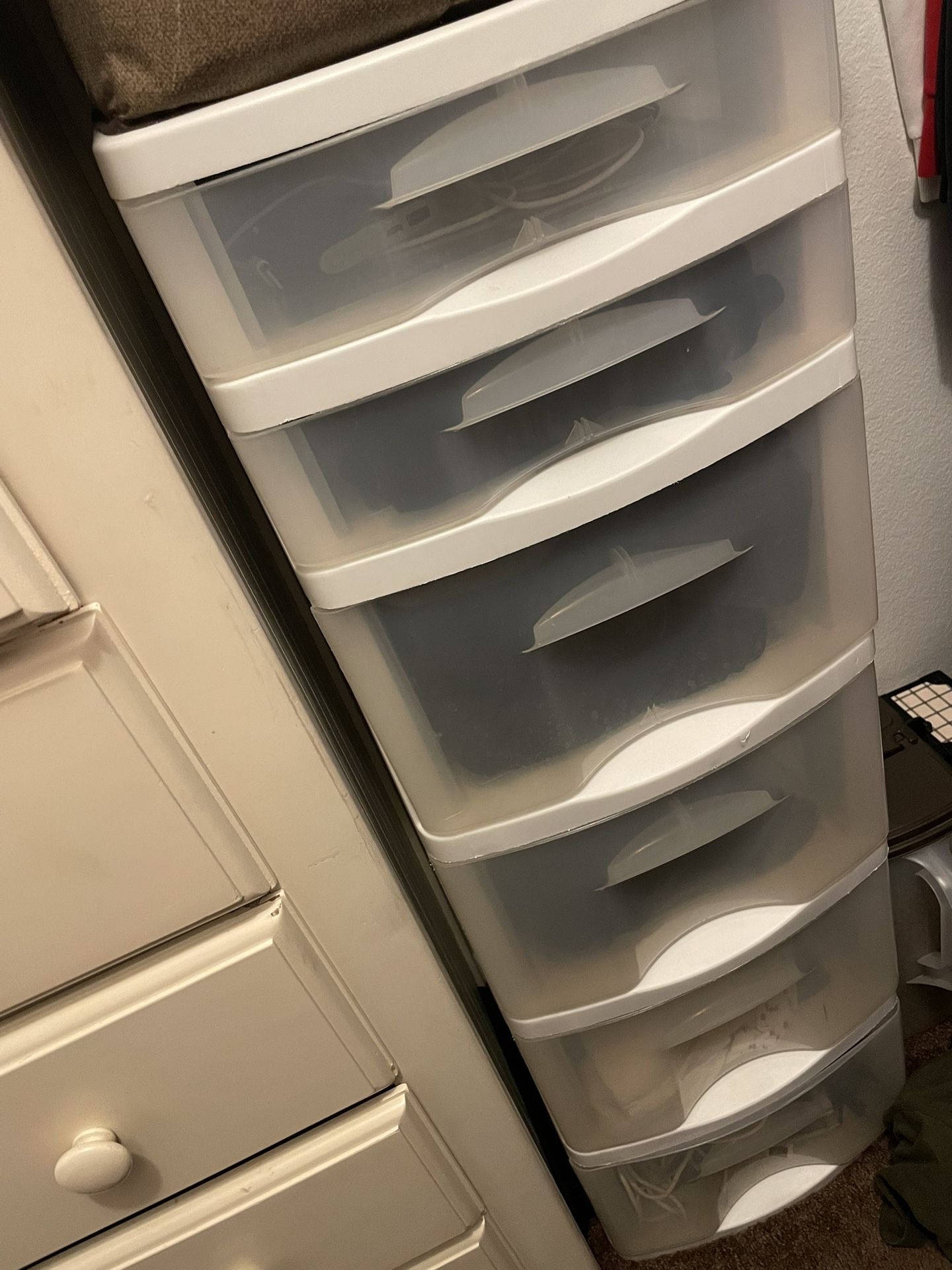 Storage containers and pet supplies