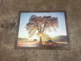 Large Framed Landscape Photo Print