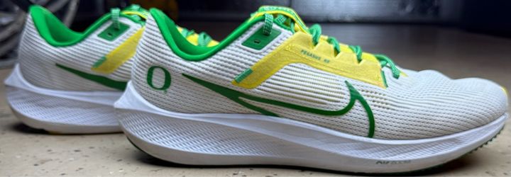 Nike Air OR Men 12
