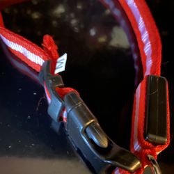 Medium light up dog collar with charger report